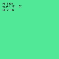 #51E898 - De York Color Image